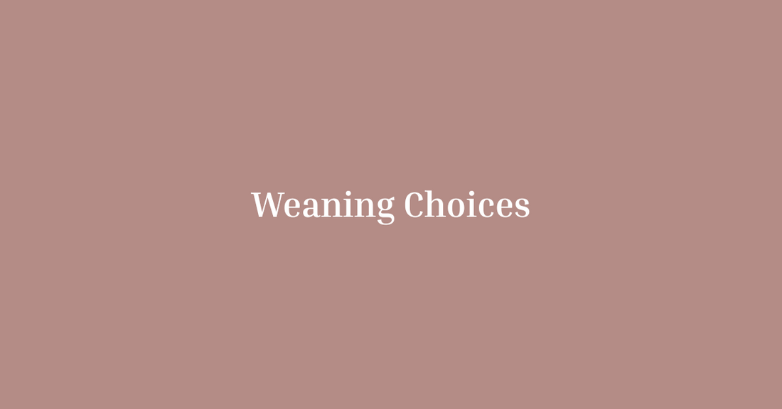 Baby-Led Weaning vs. Traditional Weaning: What’s Right for Your Baby?