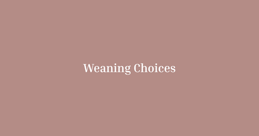 Baby-Led Weaning vs. Traditional Weaning: What’s Right for Your Baby?