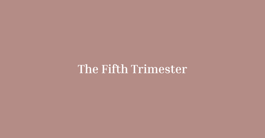 The Fifth Trimester: What No One Talks About (But Every Parent Should Know)